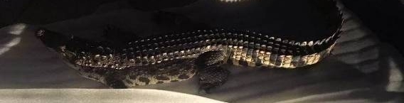 �������������ﾪ�����㣬˭�ҵģ�