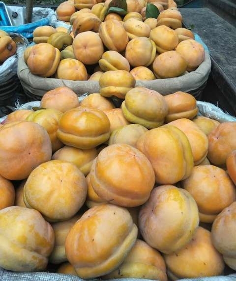 Ը�����ߢ���������ӹ�ӭ�������