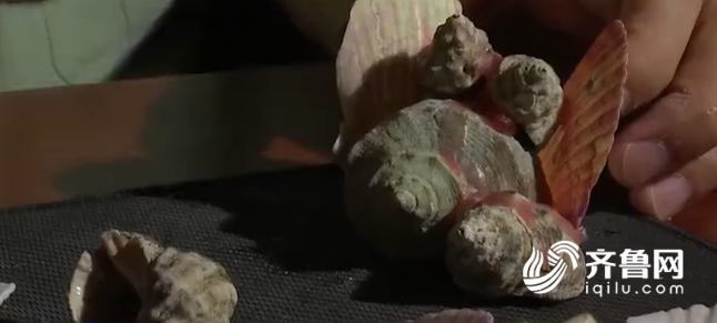 Ŀ߷쳤פ̨ἵ 񱴿Ϊﴫ˼