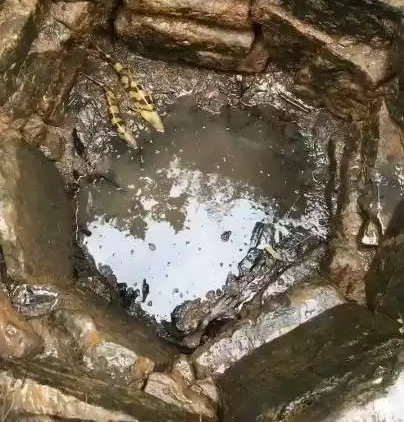 ��ˮ��ɻ���ץ���㣬ũ����������Ǵ����о�ϲ