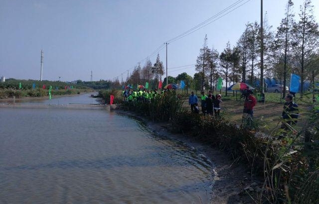 宝山罗泾:捕蟹大赛今开场 一分钟赤手空拳捞54只蟹