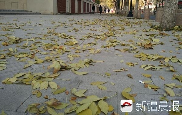 ��³ľ��ʮ���ﾰ������·��ȥ��������̫������