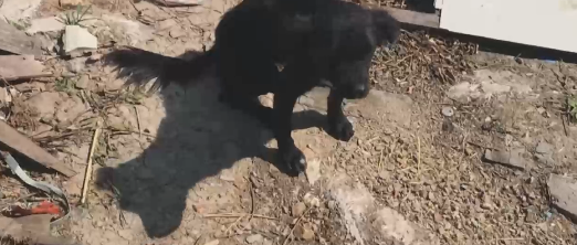 �����������ŵ��Դ������� ����С��̫�ñ��Ϸ����ư��ؼ�