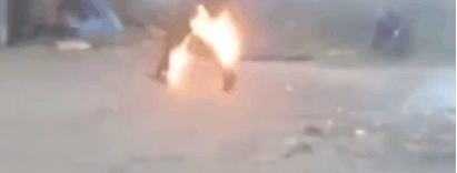 ���Ӻ�������������, ���Ż�ѷ��˸�ƨ, �����뷢����������