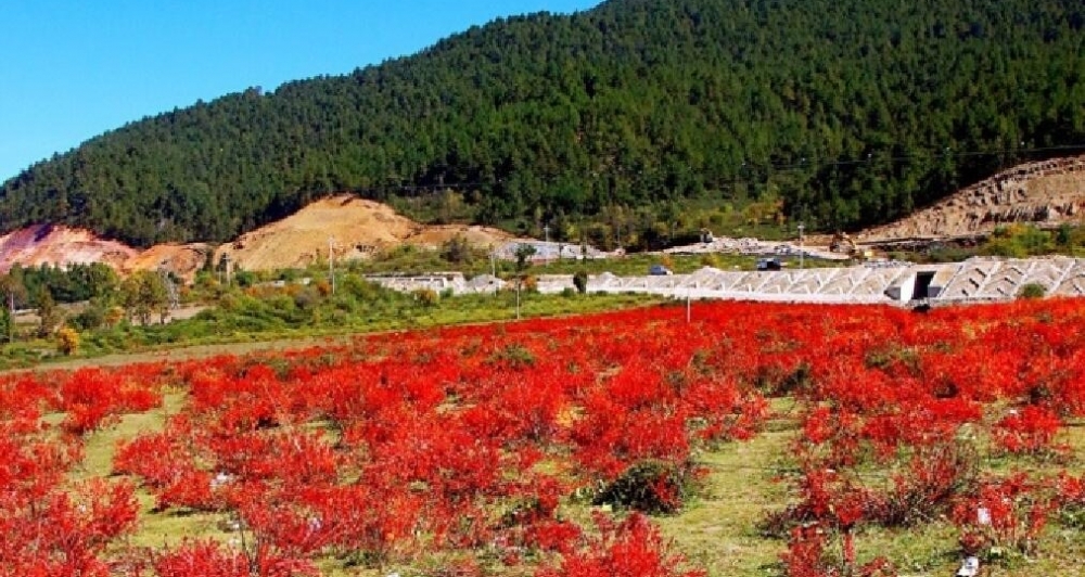 旅客饱览云南秀丽风光 地上塑料垃圾引叹息