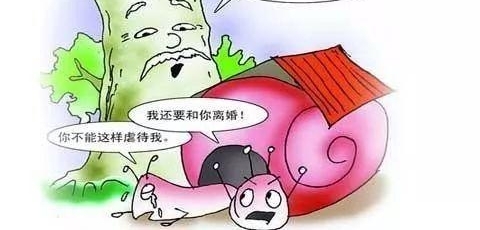 ʲô����ʵ��������Ƿ�ͬ����ʲô����