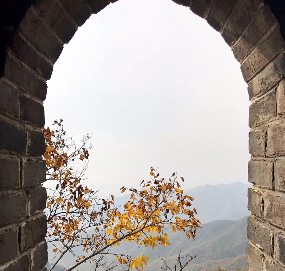 中科院物理所的死忠脑残粉才会点开……