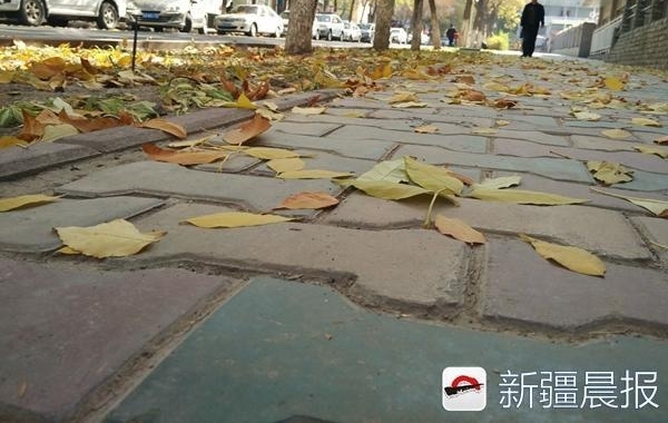 ��³ľ��ʮ���ﾰ������·��ȥ��������̫������