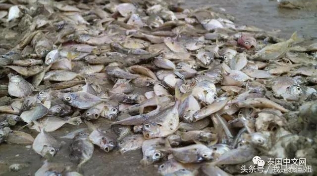 �����ϰ��ĺ��ʷ��ĳ��֣����ش���񲻹���
