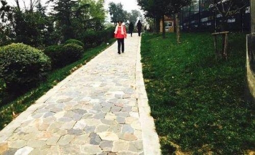 �賿5���ļ�������ǣ�ԭ����ů��δ�뿪��