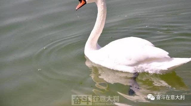 �ܺ��ӼӶ����ɱ��챻ָ�� ������2��
