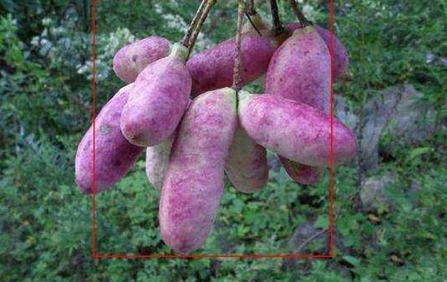���ţ���������120���3����̧�����г������ϵģ���û����