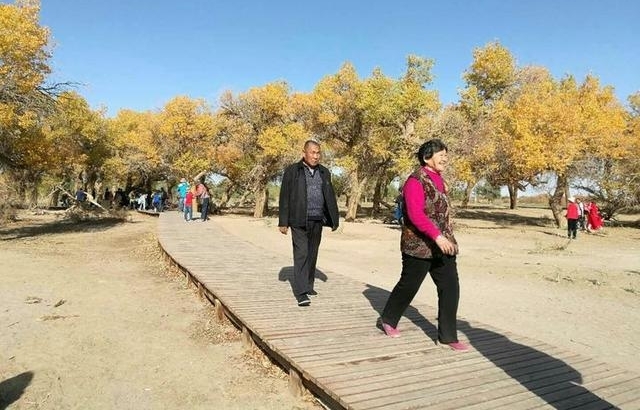 һ�ж�����õİ��ţ������׸���ĸ�Ľ��֮��