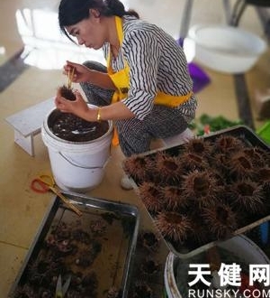 �����ء�˫�ڡ������������������λ������