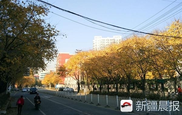 ��³ľ��ʮ���ﾰ������·��ȥ��������̫������