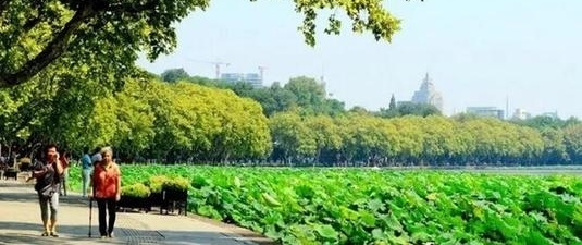 �����ĸ���������٣���������Ů�Ա����Զ༸����������