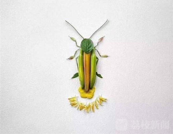 �������ҳ�����ֲ�������Ĵ��ֹ���