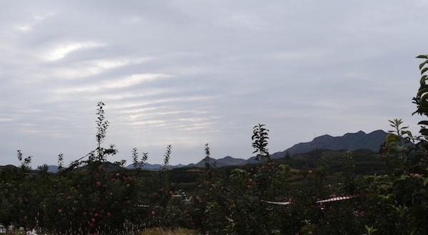 实拍农村的景象,满山种满了果树,过着慢节奏的生活