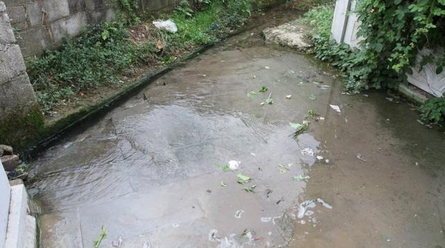 ȥ�걻��Ⱦ�Ĺ������������� �ѻָ��峺