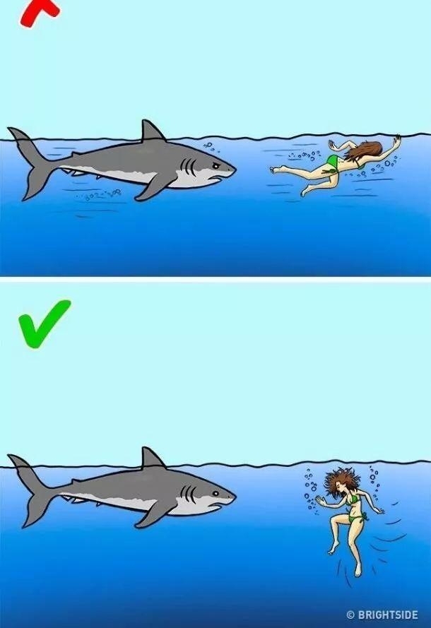 ���ܣ���Ұ�޹�����ô������