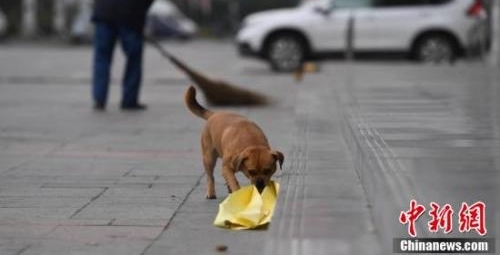 [ҹ��]��Ȯ�ﱣ��Ա���˼����� ��������ů����