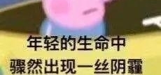 中科院物理所的死忠脑残粉才会点开……