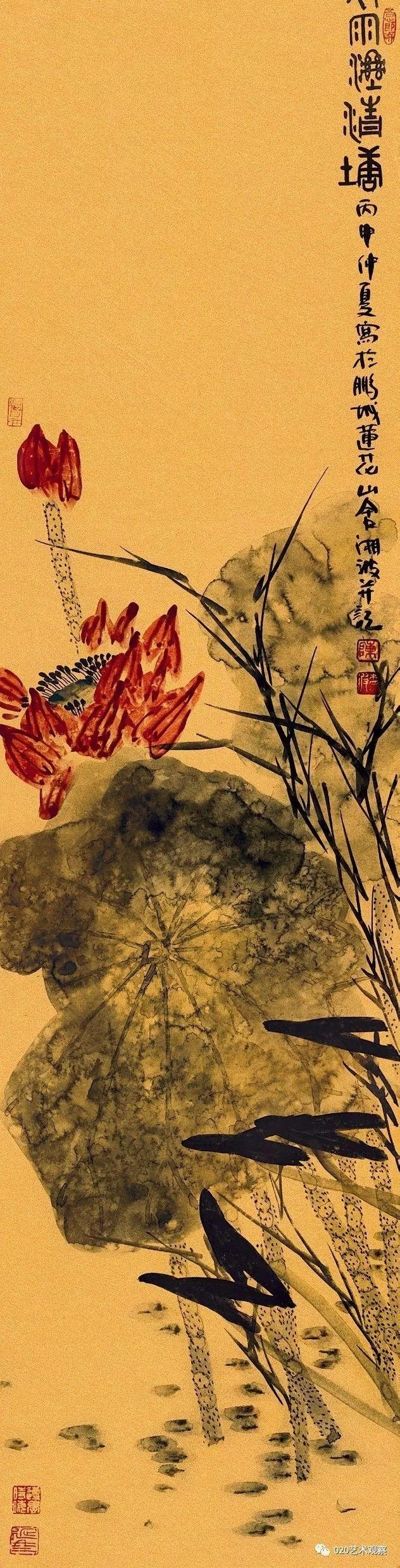���������沨֮��