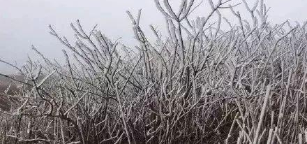 �£�ѩ���ˣ���������׽�ѩ��������ȫ���磡