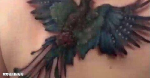 һֻ��ȸ������Ů�����ϣ�ҹ���ƹ��£���ȸ�ĳ�������仯��