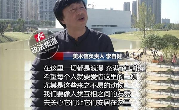 ��ɳ��������������͵��ʮ����쵰