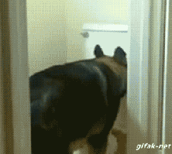 ���棬�������û�ˣ���̫̫������60��ֽ�������