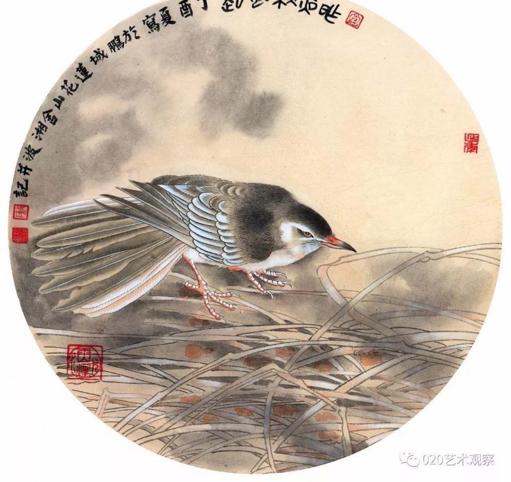 ���������沨֮��