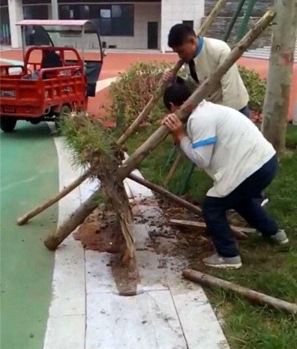 ��ҵ���ࡰ���������췹������Ϊ�˿�����ɿ��ġ�ս�ۡ�