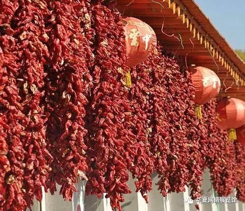 全国特产博览——呼和浩特