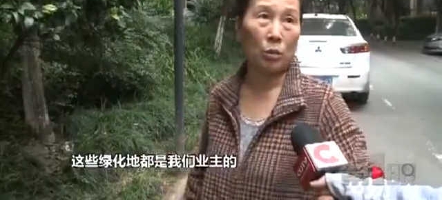 男子搞装修公共绿地成后花园 擅自占地欠妥当
