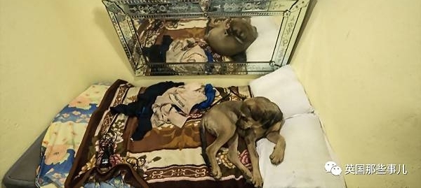 �������еĵ��£�һ��������С����ˮ�����������ס��������������������