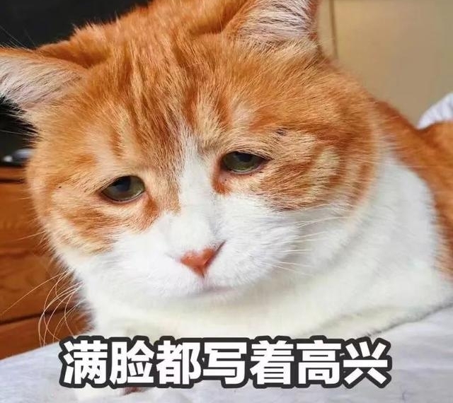 ���������Ԥ��