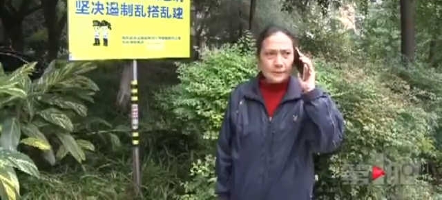 男子搞装修公共绿地成后花园 擅自占地欠妥当