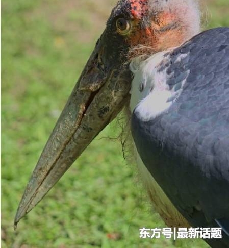 ����֮Ϊ�������๷������������-����ͺ�٣�