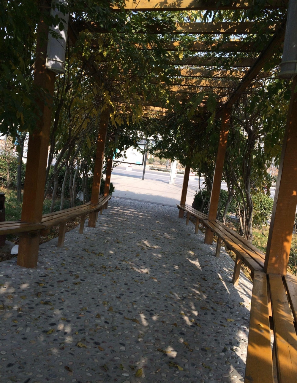 ��ĩ��֣�ݸ�����ʿ��