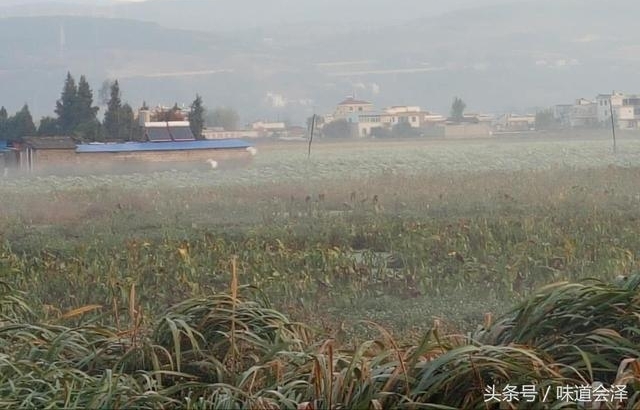 �Ҽ�ס�ڻ�������ʪ�أ�����