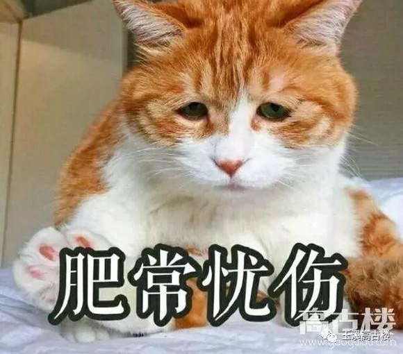 ��Ϫ���㿪�ĳ��ӻ����糵λ��һ����λʮ����ʮ���������ô��