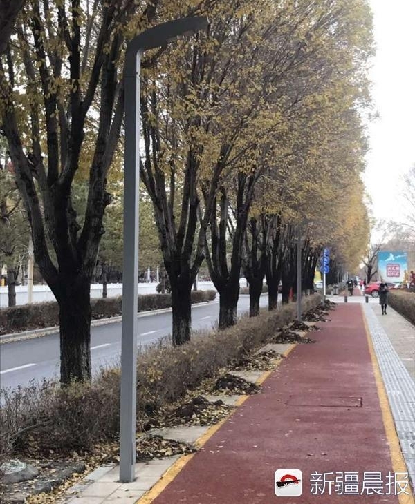 ��³ľ����������·��������Ŀ�깤��������������������������