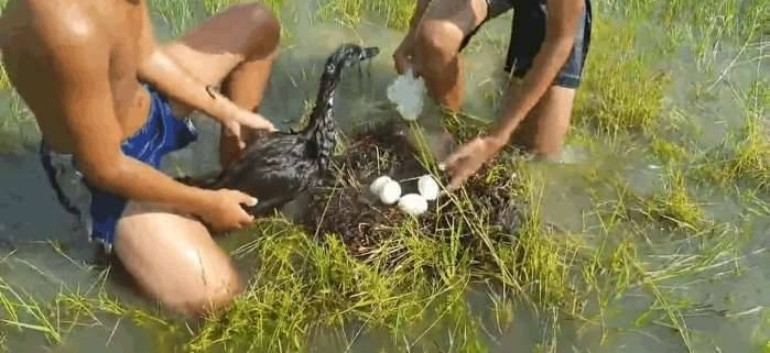 С�������Ӿʱ�����ֺ����ɫ������ץ����ȴ�����ܾ�ϲ