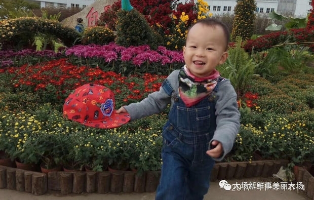 �ϴ�ջ�չԤ�����ܿ�ʼ������Ȧ�����ǵľ���һ��