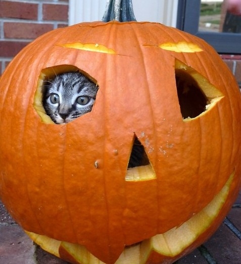 ˱Ц