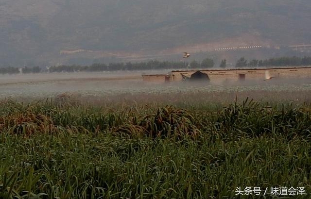 �Ҽ�ס�ڻ�������ʪ�أ�����