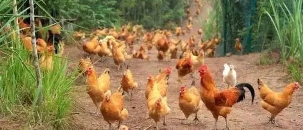 ����ũ����������10�䣡�ϱ���˵�Ļ�����