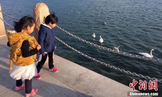 �������֮�硱ɽ���ٳ�ӭ����켾��