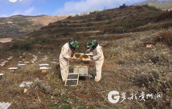 ˮк´巢չɽɫ۷ֳ ߳ۡƶ·